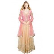 Pink & Cream Net & Georgette Full Sleeve Lehenga 