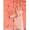  LENIN CHADERI EMBROIDERY SAREE 